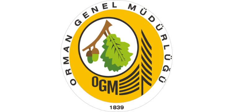 Varsa giriniz, yoksa # koyunuz.